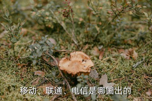 移動(dòng)、聯(lián)通、電信是哪國(guó)出的