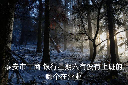 泰安市工商 銀行星期六有沒有上班的哪個(gè)在營(yíng)業(yè)