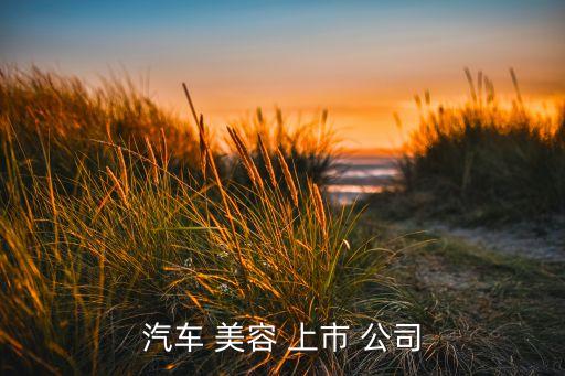汽車(chē) 美容 上市 公司