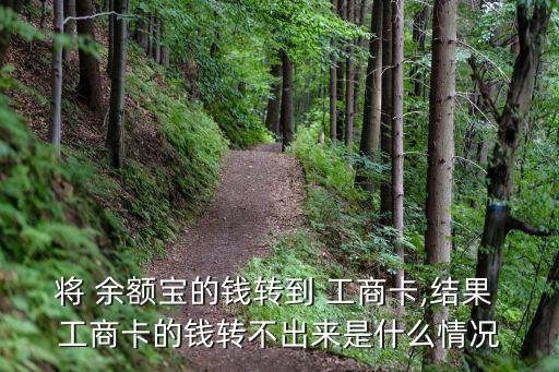 將 余額寶的錢(qián)轉(zhuǎn)到 工商卡,結(jié)果 工商卡的錢(qián)轉(zhuǎn)不出來(lái)是什么情況