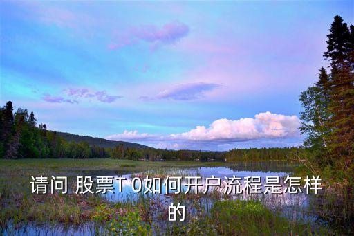 請(qǐng)問(wèn) 股票T 0如何開(kāi)戶流程是怎樣的