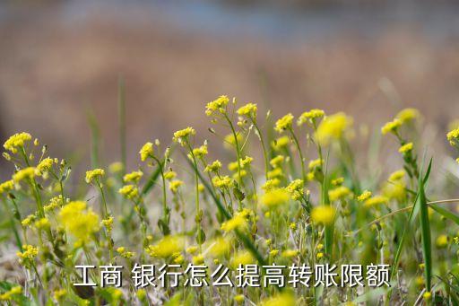  工商 銀行怎么提高轉賬限額