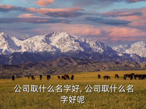 老板買家電開(kāi)公司名稱怎么寫(xiě)