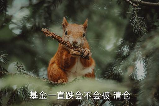  基金一直跌會(huì)不會(huì)被 清倉