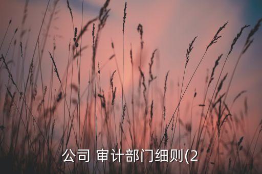 公司 審計(jì)部門(mén)細(xì)則(2