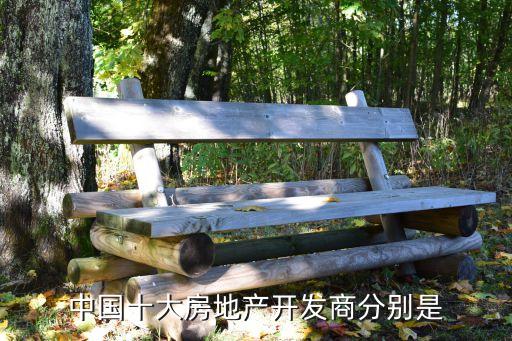 中國十大房地產開發(fā)商分別是