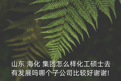  山東 ?；?集團怎么樣化工碩士去有發(fā)展嗎哪個子公司比較好謝謝!