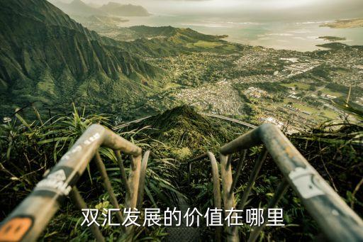 雙匯收購對(duì)中國市場