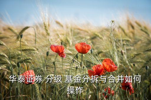 分級(jí)基金怎么賣(mài)出,基金怎么賣(mài)出最合適