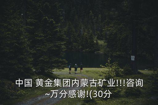 中國 黃金集團(tuán)內(nèi)蒙古礦業(yè)!!!咨詢~萬分感謝!(30分