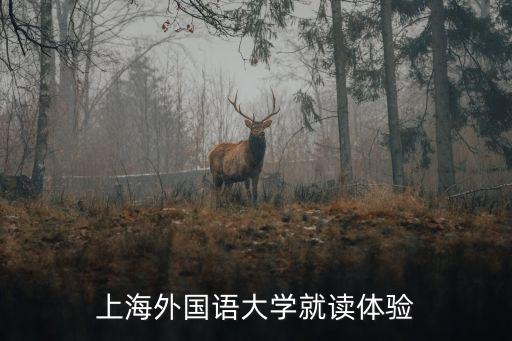 上海外國語大學就讀體驗