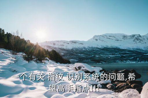 一個有關(guān) 指紋 識別系統(tǒng)的問題,希望高手指點(diǎn)!!!