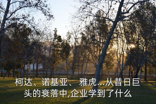 柯達、諾基亞、 雅虎...從昔日巨頭的衰落中,企業(yè)學(xué)到了什么