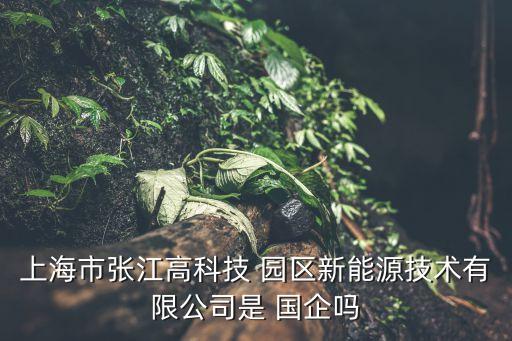 大變局下的上海園區(qū)開(kāi)發(fā)類(lèi)國(guó)企的危與機(jī)