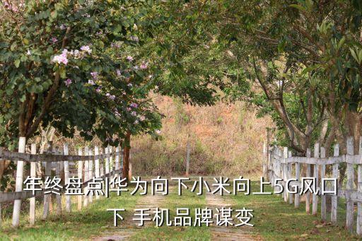 年終盤點|華為向下小米向上5G風(fēng)口下 手機(jī)品牌謀變