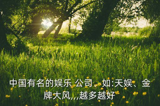中國有名的娛樂 公司、如:天娛、金牌大風(fēng),,,越多越好