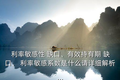  利率敏感性 缺口、有效持有期 缺口、 利率敏感系數(shù)是什么請詳細解析...