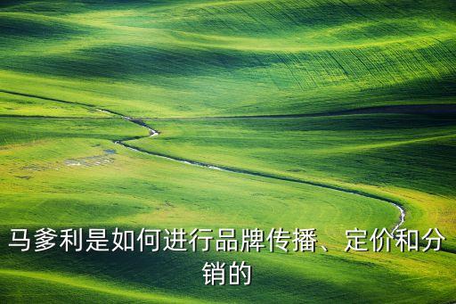 馬爹利是如何進(jìn)行品牌傳播、定價(jià)和分銷的