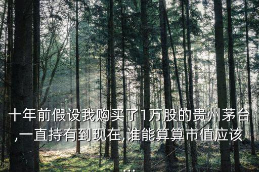 十年前假設我購買了1萬股的貴州茅臺,一直持有到現(xiàn)在,誰能算算市值應該...