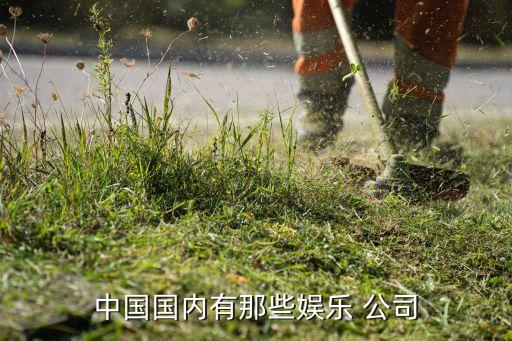 中國最大的經紀公司是那個