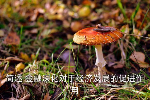 簡述 金融深化對于經濟發(fā)展的促進作用