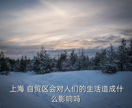  上海 自貿區(qū)會對人們的生活造成什么影響嗎