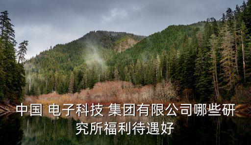 中國 電子科技 集團有限公司哪些研究所福利待遇好