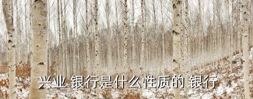  興業(yè) 銀行是什么性質的 銀行