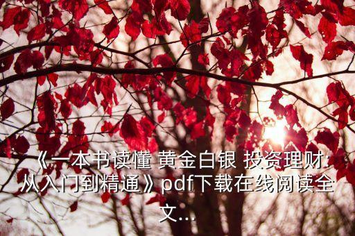 《一本書(shū)讀懂 黃金白銀 投資理財(cái):從入門到精通》pdf下載在線閱讀全文...
