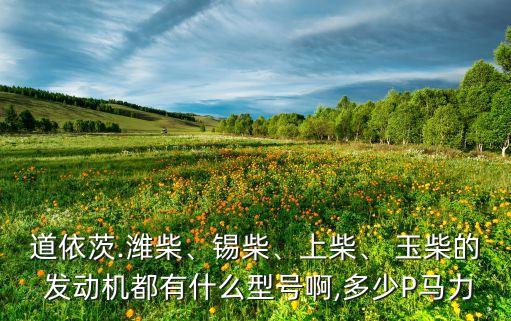 道依茨.濰柴、錫柴、上柴、 玉柴的 發(fā)動機都有什么型號啊,多少P馬力