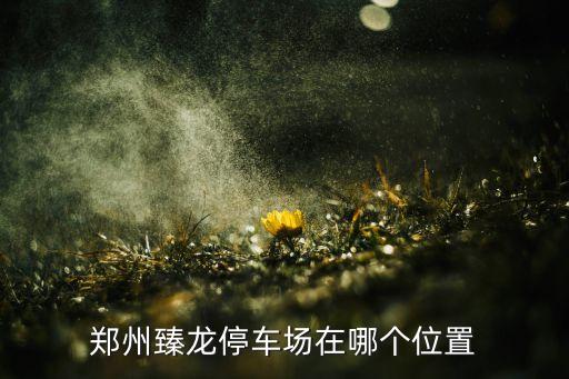 鄭州臻龍停車場在哪個(gè)位置