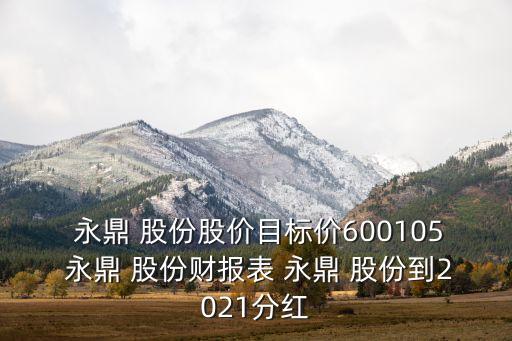  永鼎 股份股價目標價600105 永鼎 股份財報表 永鼎 股份到2021分紅
