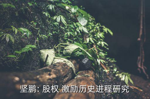 堅(jiān)鵬: 股權(quán) 激勵歷史進(jìn)程研究