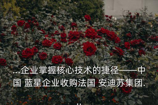 ...企業(yè)掌握核心技術(shù)的捷徑——中國 藍(lán)星企業(yè)收購法國 安迪蘇集團(tuán)...
