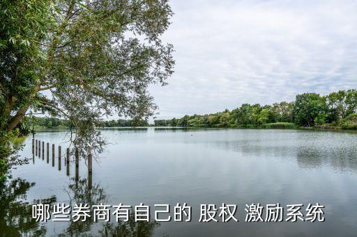 2013年實(shí)施股權(quán)激勵的上市公司