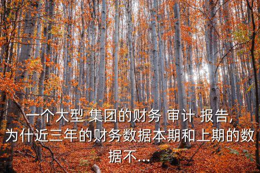 一個大型 集團(tuán)的財(cái)務(wù) 審計(jì) 報告,為什近三年的財(cái)務(wù)數(shù)據(jù)本期和上期的數(shù)據(jù)不...
