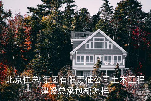 北京住總 集團有限責任公司土木工程建設總承包部怎樣