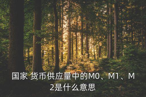 國(guó)家 貨幣供應(yīng)量中的M0、M1、M2是什么意思