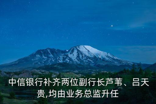  中信銀行補(bǔ)齊兩位副行長(zhǎng)蘆葦、呂天貴,均由業(yè)務(wù)總監(jiān)升任