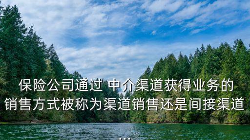  保險(xiǎn)公司通過(guò) 中介渠道獲得業(yè)務(wù)的銷(xiāo)售方式被稱為渠道銷(xiāo)售還是間接渠道...