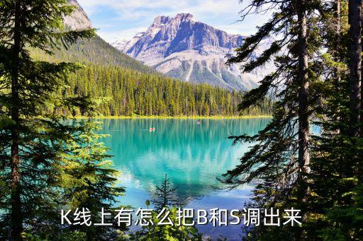 K線上有怎么把B和S調出來