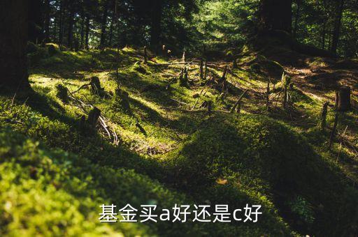 a類基金有風(fēng)險嗎,買基金有什么風(fēng)險