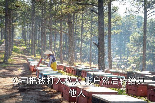 公司轉賬到個人賬戶再現(xiàn)提,公司使用個人賬戶轉賬