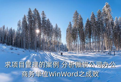 求項目管理的案例 分析微軟公司辦公商務單位WinWord之成敗
