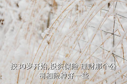 按30歲開始,投資保險(xiǎn) 理財(cái)那個(gè)公司和險(xiǎn)種好一些