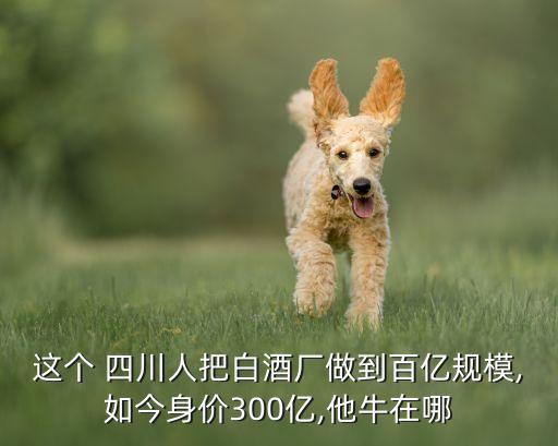 這個 四川人把白酒廠做到百億規(guī)模,如今身價(jià)300億,他牛在哪