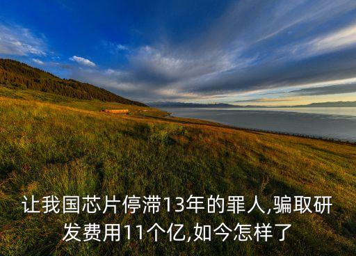 讓我國芯片停滯13年的罪人,騙取研發(fā)費(fèi)用11個億,如今怎樣了