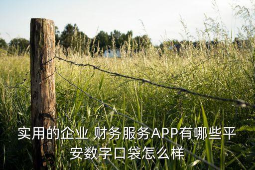實(shí)用的企業(yè) 財務(wù)服務(wù)APP有哪些平安數(shù)字口袋怎么樣