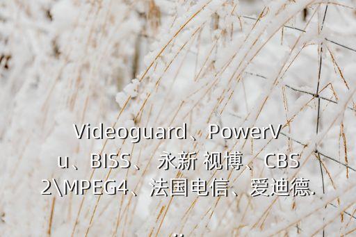 Videoguard、PowerVu、BISS、 永新 視博、CBS2\MPEG4、法國電信、愛迪德...
