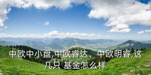 中歐中小盤,中歐睿達、中歐明睿,這幾只 基金怎么樣